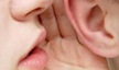 whisper whisper