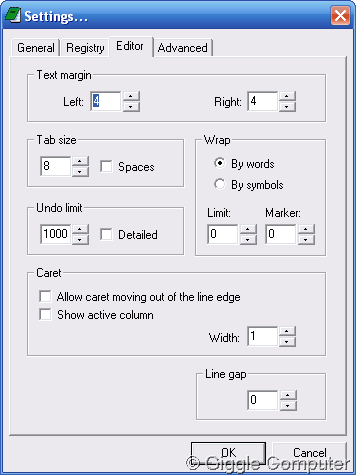 AkelPad - Setting - Editor