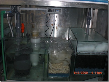 CIMG0284