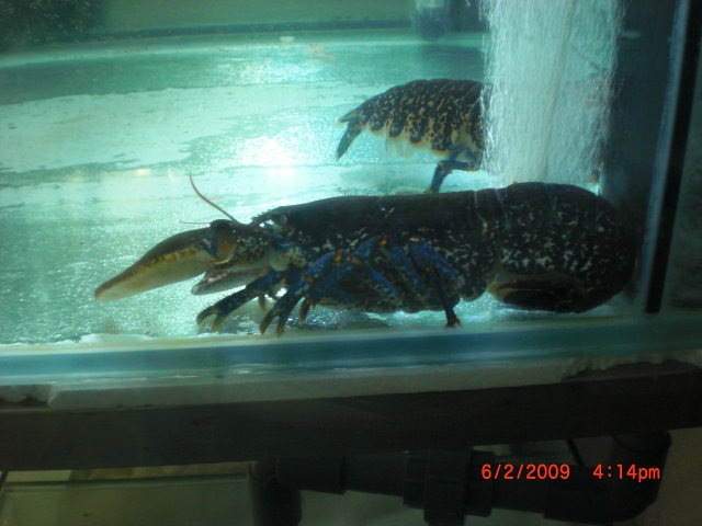 [CIMG02863.jpg]