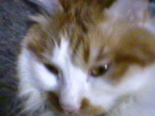 DSC00023.JPG