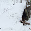 DSCF6085.JPG