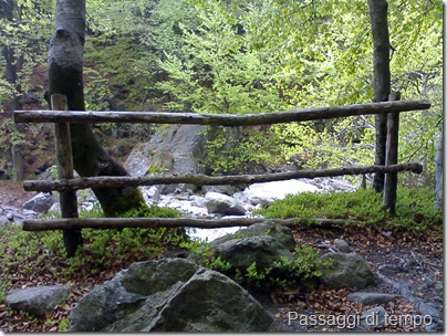 Nel-bosco