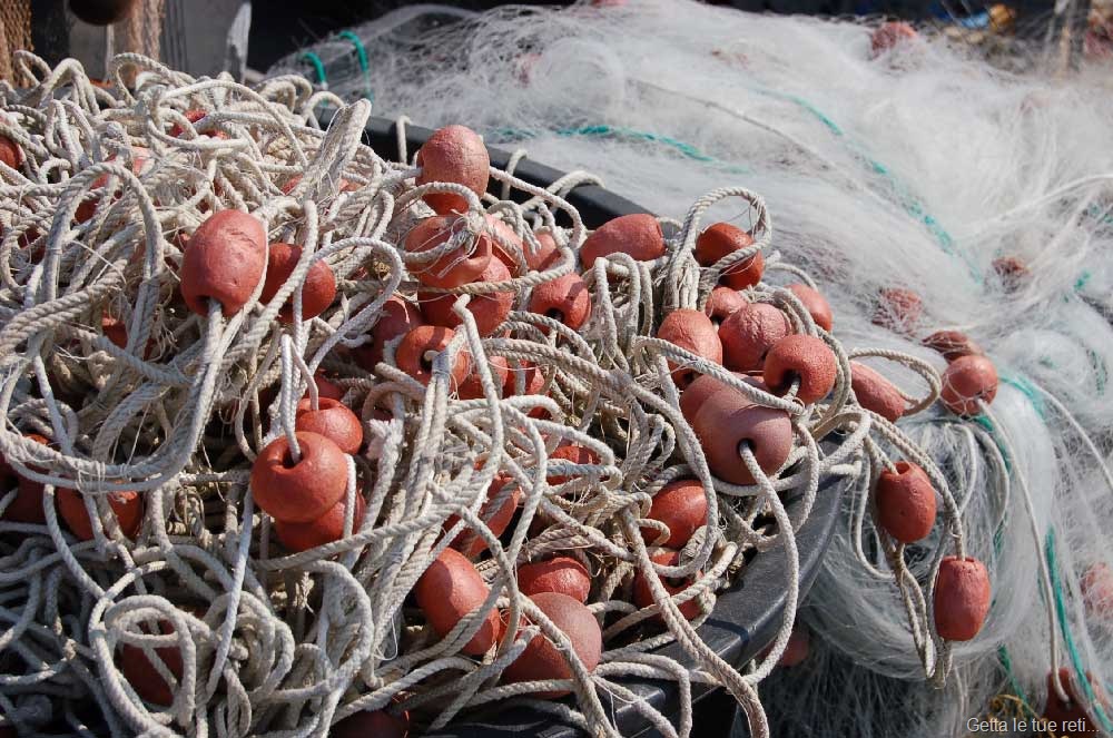 [Sale-&-Pesce3[8].jpg]