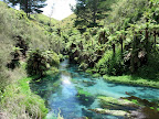 Blue Springs