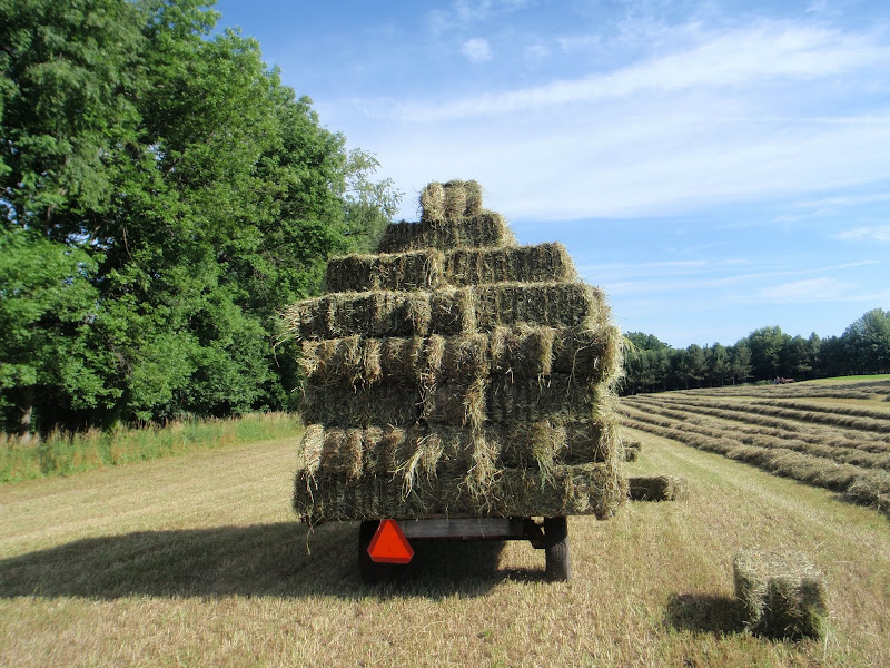 hay wagon