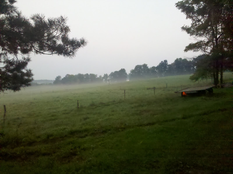 Early morning