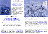Le projet initial de Sylvestre JAMET