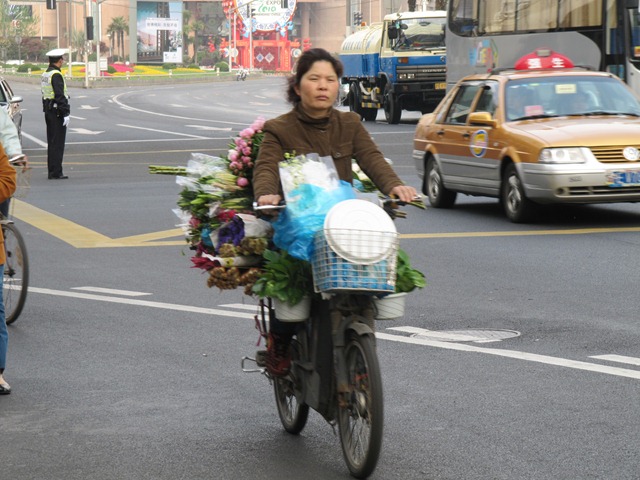 [IMG_46252.jpg]