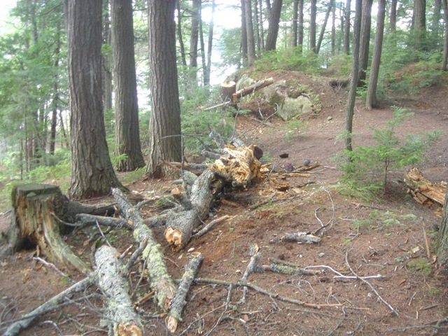 [Algonquin6[3].jpg]