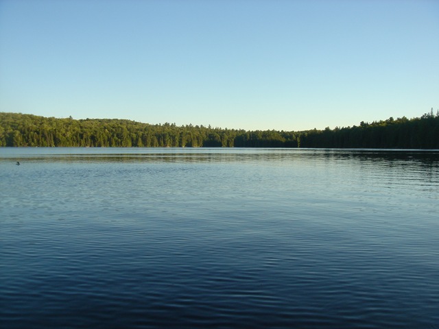 [Algonquin11[3].jpg]