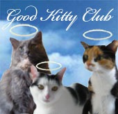 [kitty-trio-good-kitty[2].jpg]