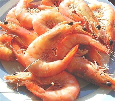 [cooked-ocean-king-prawns[4].jpg]