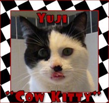 [yuji cow kitty[2].jpg]