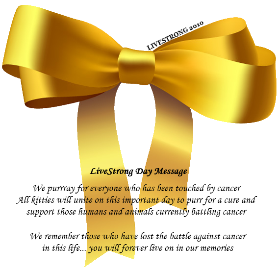 [livestrongbanner[4].png]