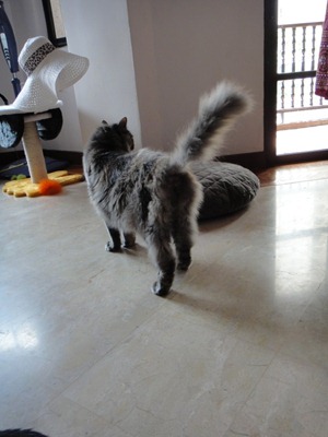 DSC01233n