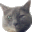 [pri-blog[2].gif]