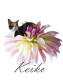 keiko-signature