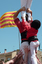 http://lh3.ggpht.com/_PKO_RoJQEZ0/S_0Xr9oqlMI/AAAAAAAACxc/yaNs81kv92A/P1040350.JPG