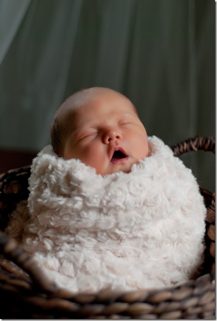 Spring Baby (1 of 5)