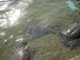 DSCN1335.JPG
