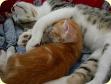 [DSCN7635_thumb2[35].jpg]