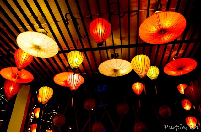 [DSC00139[8].jpg]