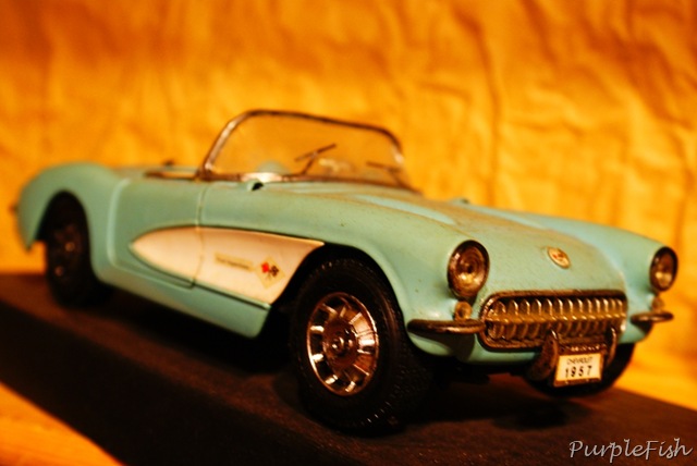 [DSC00529[7].jpg]