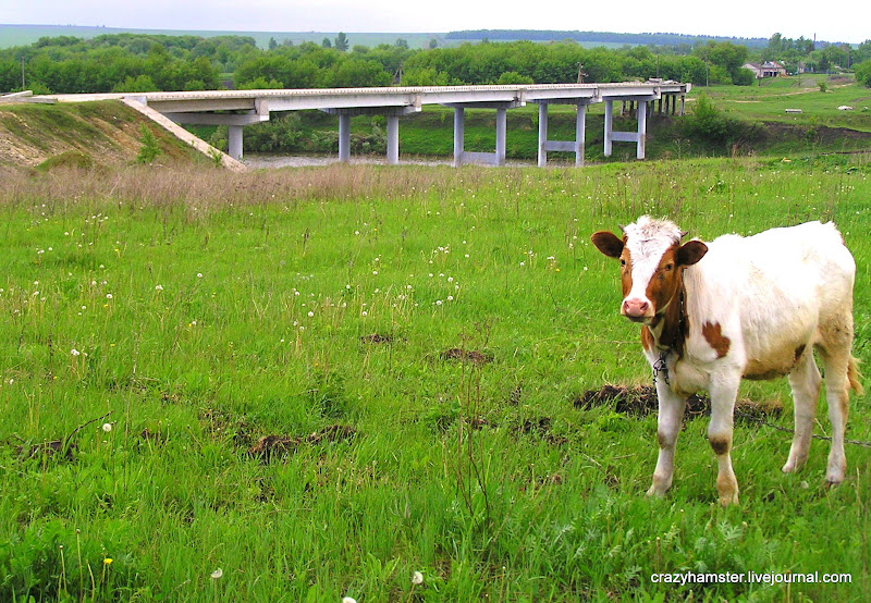 Страна дефективных мостов