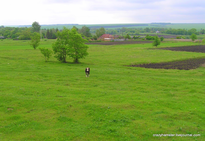 Страна дефективных мостов