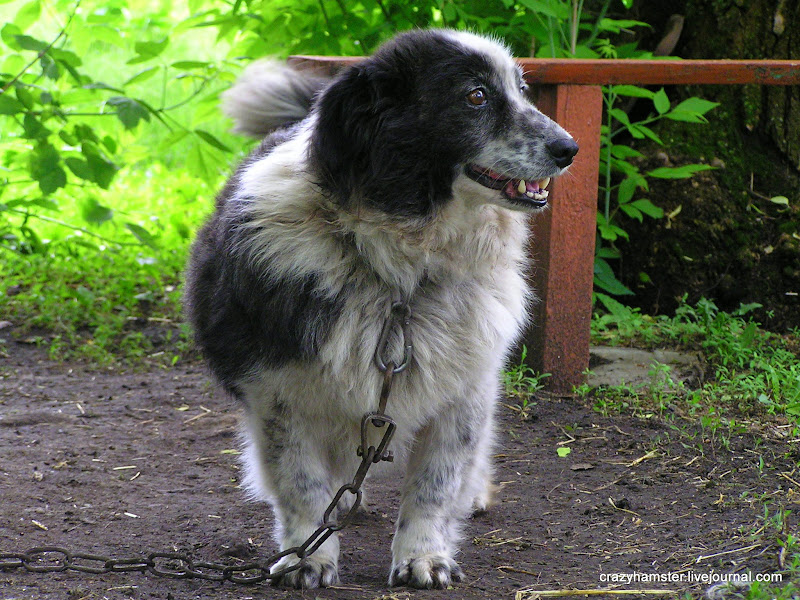 Страна дефективных мостов
