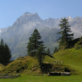 Panoramas