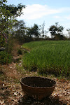 Cavita,  India 120.JPG