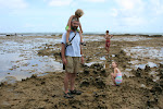 Praia do Forte 015.JPG