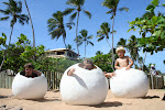 Praia do Forte 061.JPG