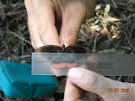 DSCN0033.JPG