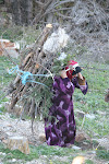 On the road from Tabarka to Ain Draham, Tunisia