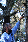 Checking out the cork trees, Ain Draham, Tunisia