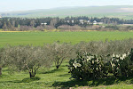On the road from Beja to Tabarka, Tunisia