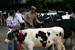 Guimarães, Portugal 055.JPG