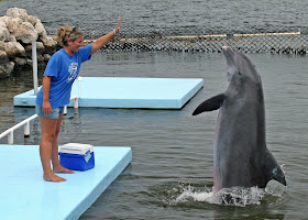 http://lh3.ggpht.com/_PUo7JBUjU2c/SWLRQyDVG8I/AAAAAAAALRo/gcVGdb_Y8fA/s400/Molly_BTW_no%20trainer.jpg