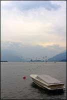 IMG_5658.jpg Photo