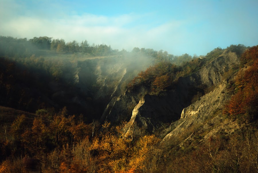 DSC_4310.jpg