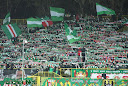 lechia