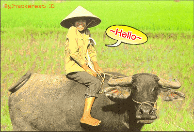 คลิกๆๆ รูปสวยๆน่ารักๆไว้ส่งต่อเพียบ...