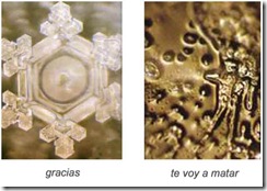 _masaru_emoto-732269 _masaru_emoto-732269