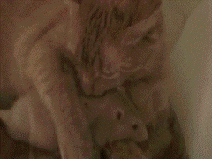 [2z8vz0l.jpg[2].gif]