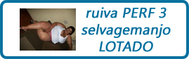 bot bot