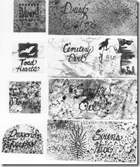 Halloween Labels 1 PDF