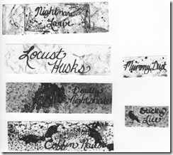 Halloween Labels 2 PDF
